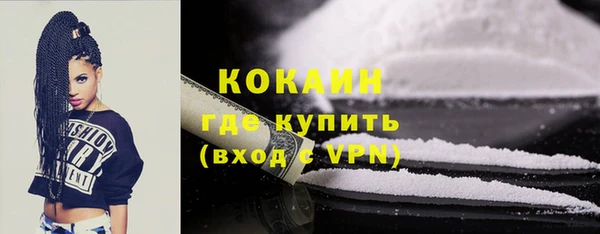хмурый Бердск