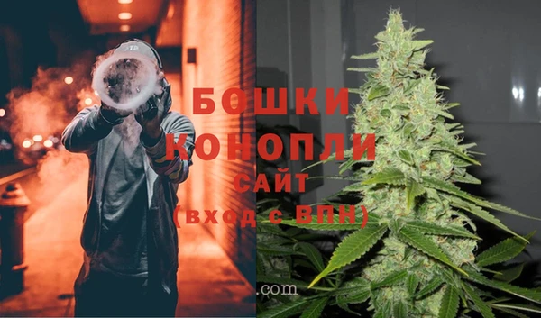 PSILOCYBIN Майский