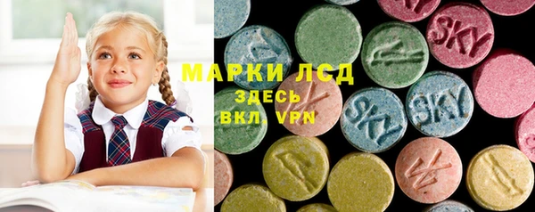 гидра Ачинск