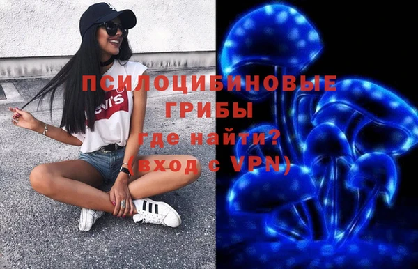 ГАЛЛЮЦИНОГЕННЫЕ ГРИБЫ Медвежьегорск