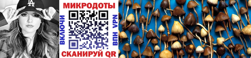 Галлюциногенные грибы ЛСД  даркнет сайт  Терек 