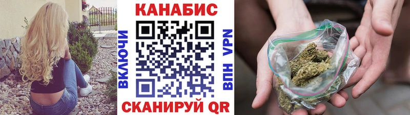 Конопля сатива Терек